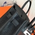 Hermes Birkin 25cm Genuine French Togo Leather HBTB25cm